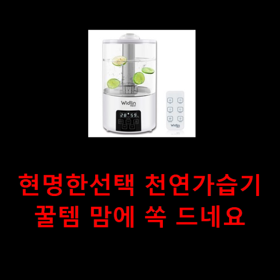 현명한선택 천연가습기 꿀템 맘에 쏙 드네요 현명한선택 천연가습기 꿀템 맘에 쏙 드네요