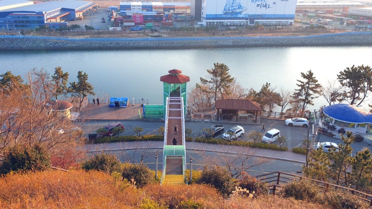  진해 흰돌메공원 강아지 산책하기