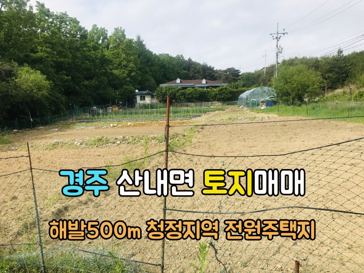  경주부동산(1-711) 해발500m  개울접한 청정지역 힐링 요양 주말농장매매 전원주택지 경북토지 경주땅 1,143m2매매 입니다
