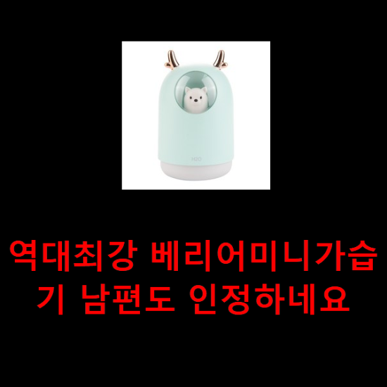역대최강 베리어미니가습기 남편도 인정하네요 역대최강 베리어미니가습기 남편도 인정하네요