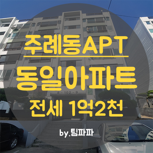  주례동일아파트 전세 올수리 첫입주 전세대출가능 즉시입주가능