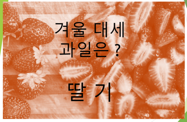  겨울 대세 과일은 딸기