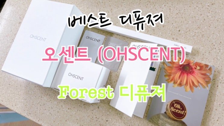  인스타에 핫한 인기 디퓨져 오센트의 베스트 디퓨져 포레스트 기프트 박스 개봉기 (시향기 사은품 소개)