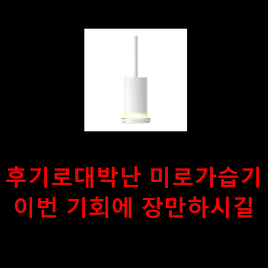 후기로대박난 미로가습기 이번 기회에 장만하시길