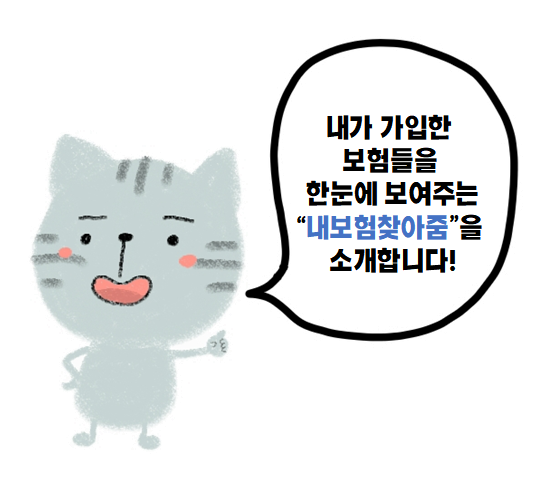  내보험찾아줌  l  내 보험 한눈에 보험가입내역조회
