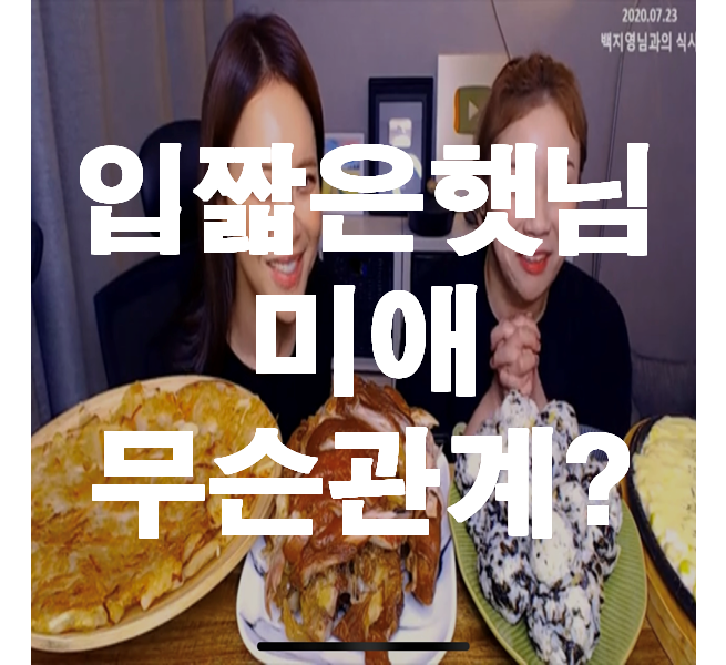  입짧은햇님 미애 무슨 사이일까? 결혼한 사이?