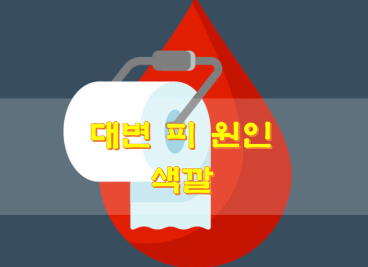  대변 피 원인 색깔