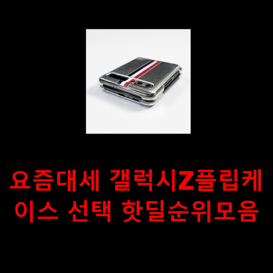 요즘대세 갤럭시Z플립케이스 선택 핫딜순위모음 요즘대세 갤럭시Z플립케이스 선택 핫딜순위모음
