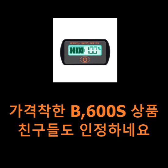 가격착한 B,600S 상품 친구들도 인정하네요 가격착한 B,600S 상품 친구들도 인정하네요