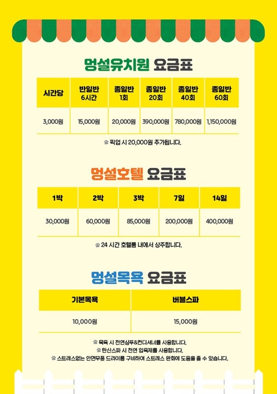 사진 5
