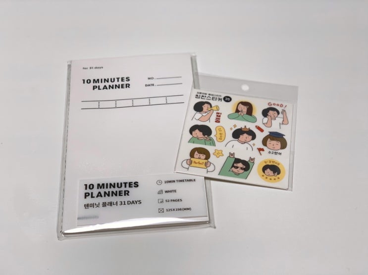 10Minutes Planner 새해 한 달 다이어리 꾸미기 기록하기