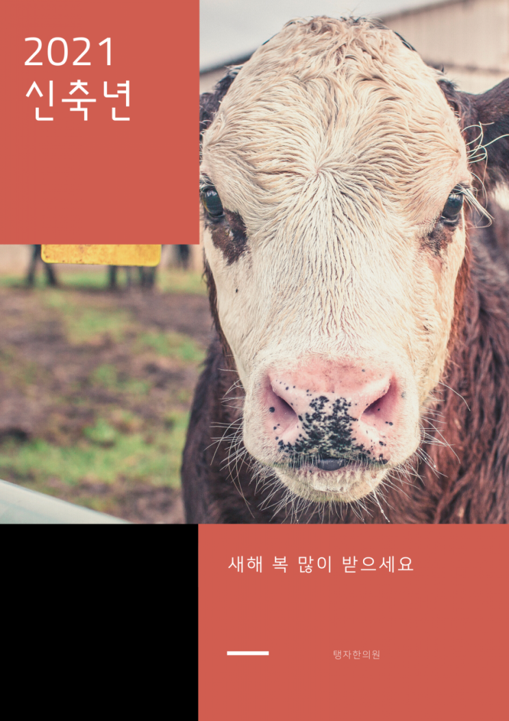  수원한의원 천천동한의원 탱자한의원 2021신축년 인사 및 생리통 완화 정보