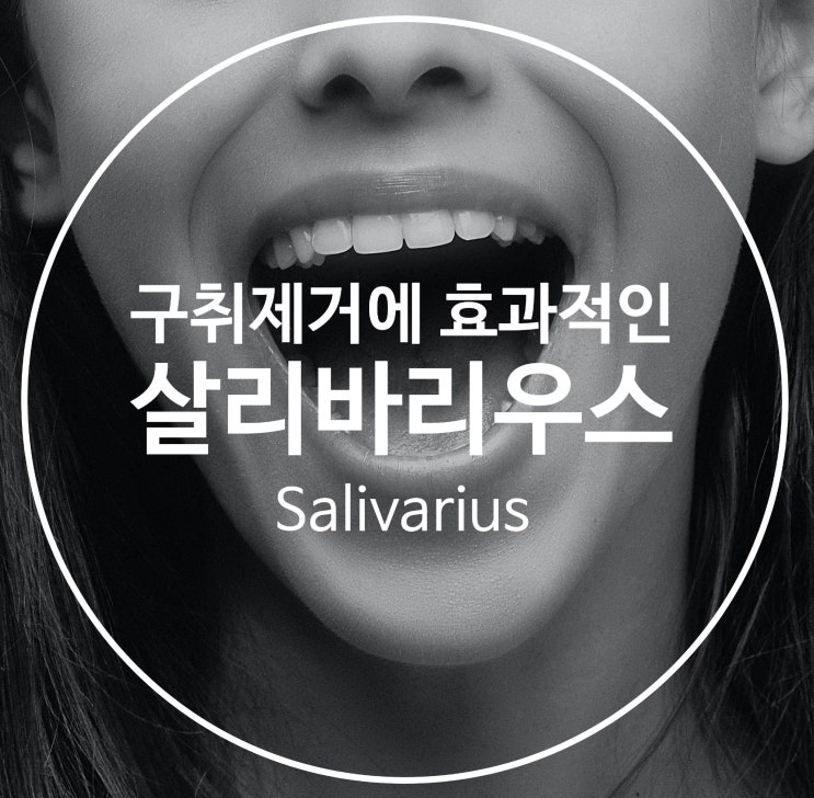  구취에 효과적인 살리바리우스 유산균을 섭취해보자