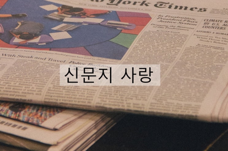  신문지 사랑