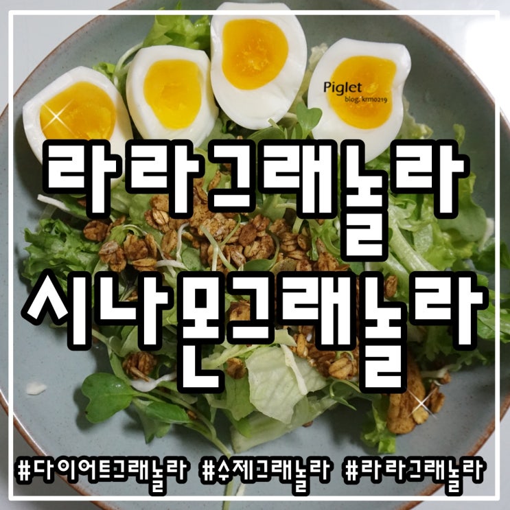  다이어트 씨리얼로 추천하는 수제그래놀라 :: 라라그래놀라 _ 시나몬 그래놀라