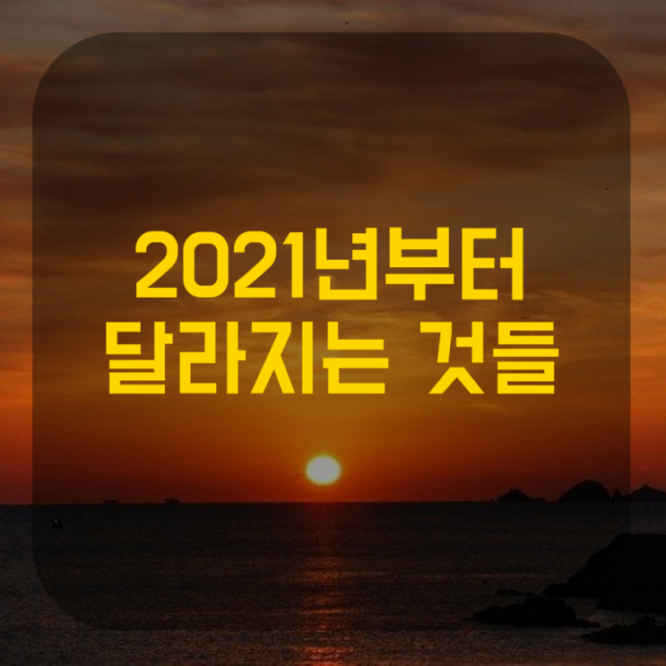  2021 달라지는 것들