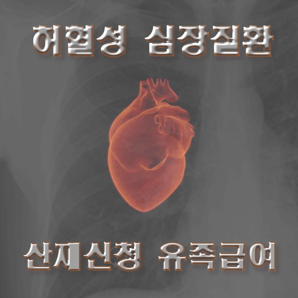  허혈성 심장질환 산재! 허혈성심장질환 유족급여 신청