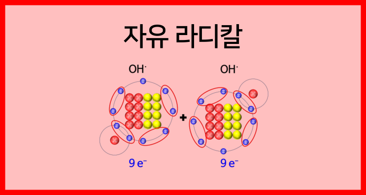  [물질의 구성]자유 라디칼