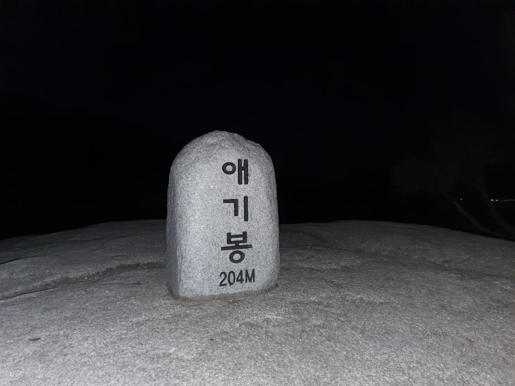  신축년 새해 첫 해맞이를 불암산 애기봉에서~