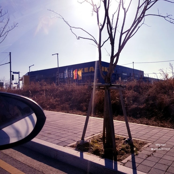  동부산 이케아 주말 방문 ^^ (영업시간&휴무일, 푸드코트)