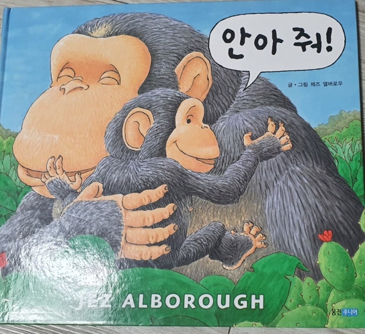  마음을 안정시켜주는 그림책/ 안아줘