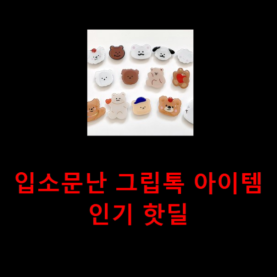 입소문난 그립톡 아이템 인기 핫딜