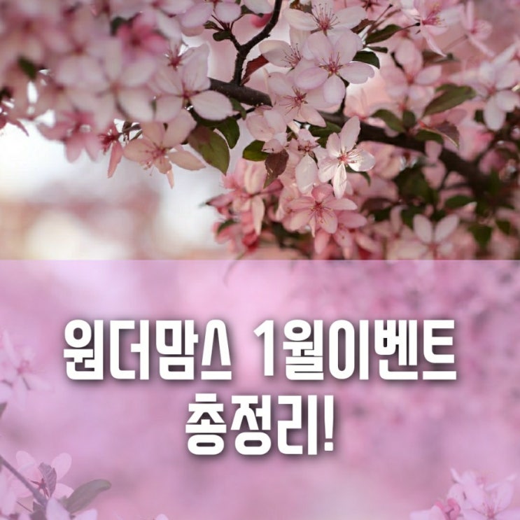 놓칠수 없는 원더맘스 1월 이벤트 총정리!!! 놓칠수 없는 원더맘스 1월 이벤트 총정리!!!
