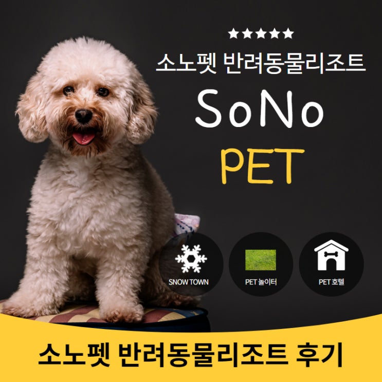  소노펫 홍천 반려동물리조트 후기