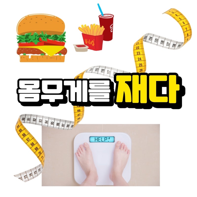 제다 재다 헷갈릴 것 하나 없네 : 네이버 블로그