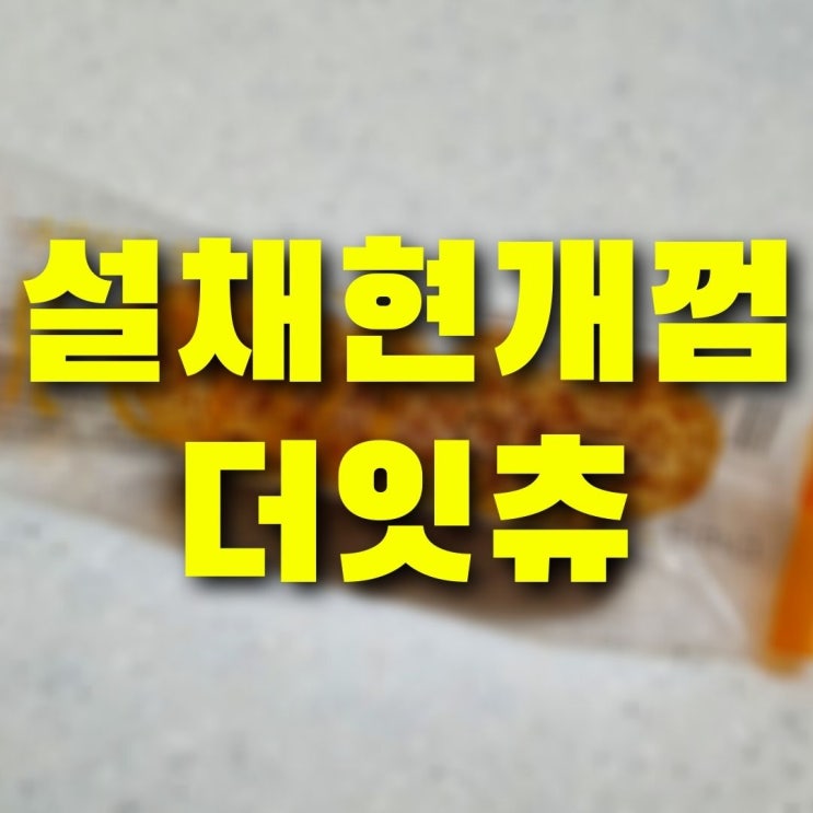  설채현 개껌 핏펫몰 더 잇츄 바게트로 치석제거까지