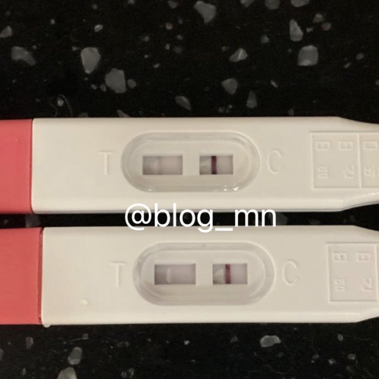  [임신 3주차]초기 임신 증상/테스트기/애매한/2줄/피검사 수치/언제 아기집을 볼 수 있나요?