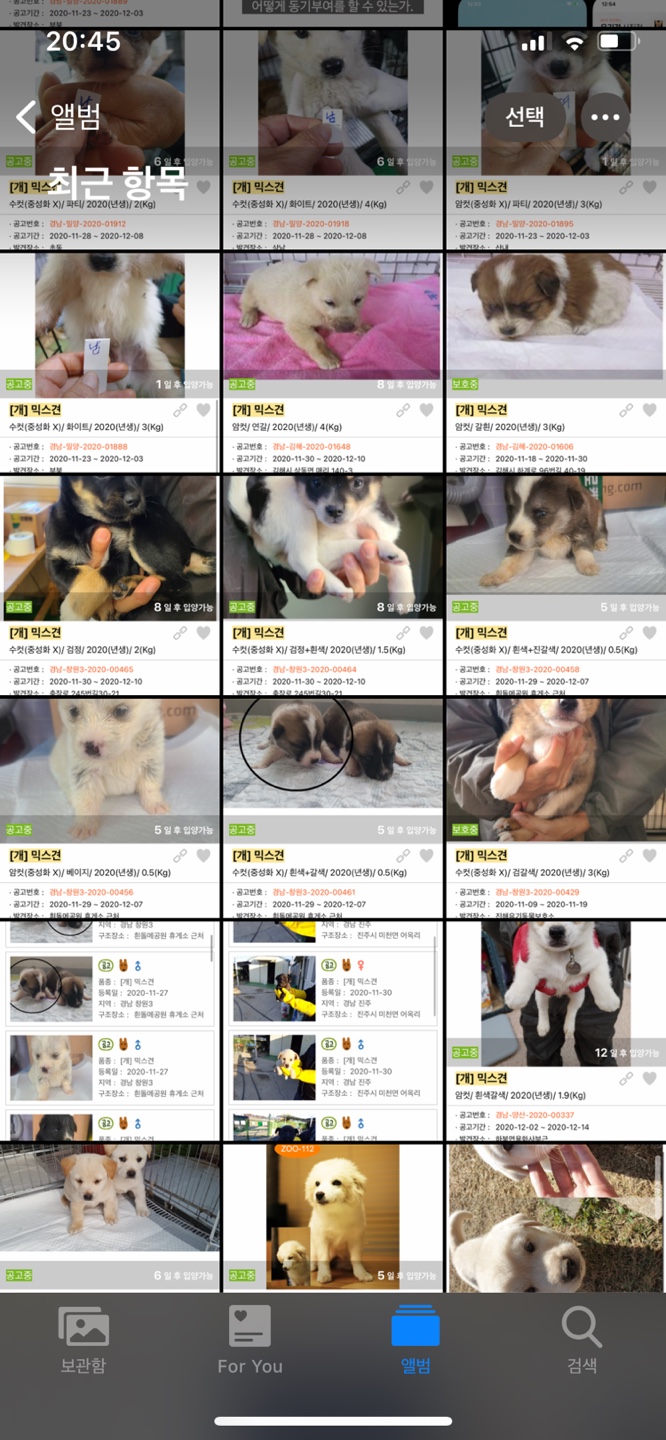  반려동물관리사 고민하고 도전해봐요