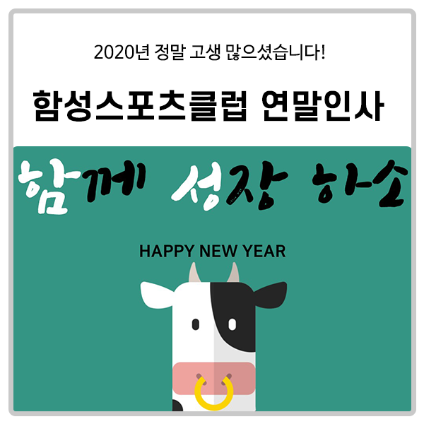  [함성스포츠클럽] 연말인사 드립니다.