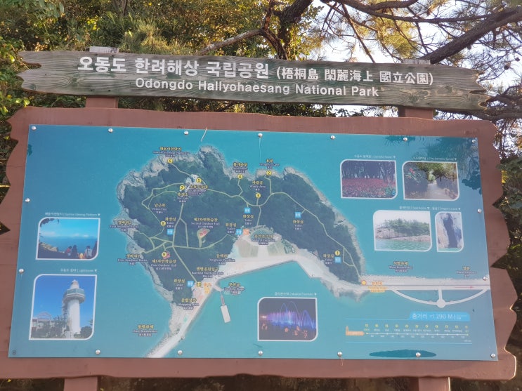  여수 오동도 간단히 산책하기 좋은 곳!
