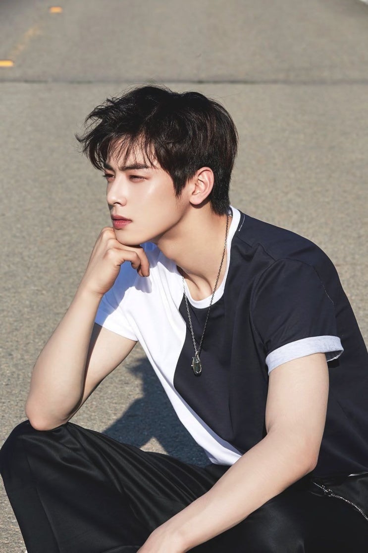 한중일 아시아 탑 미모 등극한 차은우 한중일 아시아 탑 미모 등극한 차은우