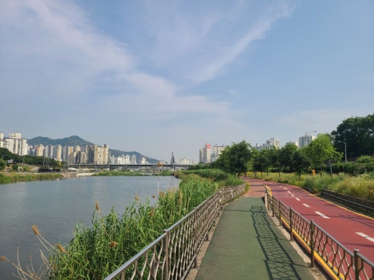  휴일에 할만한 취미생활