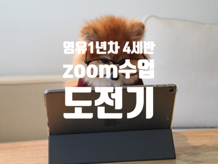  영유 4세반 줌수업 교사출근 (결론부터 말하자면 실패! 세가지 이유)