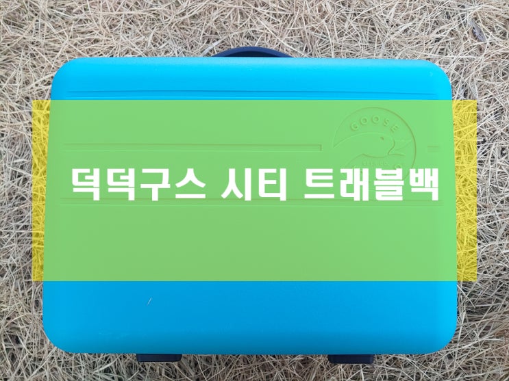  구스아일랜드 덕덕구스 시티 트래블백 캠프닉에 좋아요