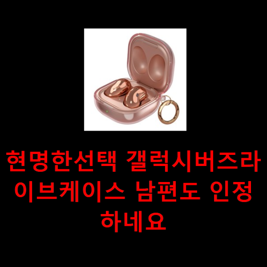 현명한선택 갤럭시버즈라이브케이스 남편도 인정하네요