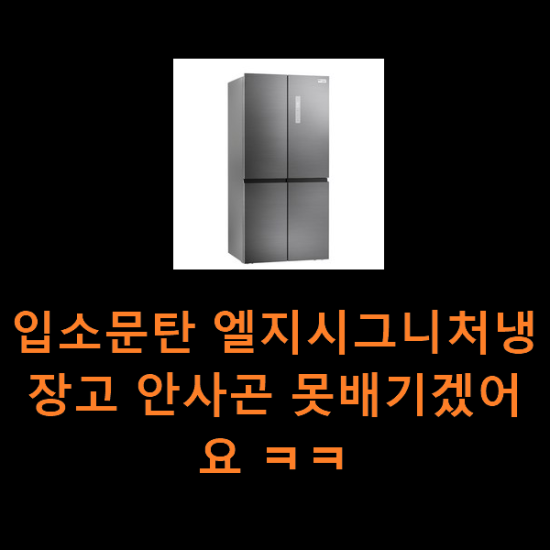 입소문탄 엘지시그니처냉장고 안사곤 못배기겠어요 ㅋㅋ 입소문탄 엘지시그니처냉장고 안사곤 못배기겠어요 ㅋㅋ