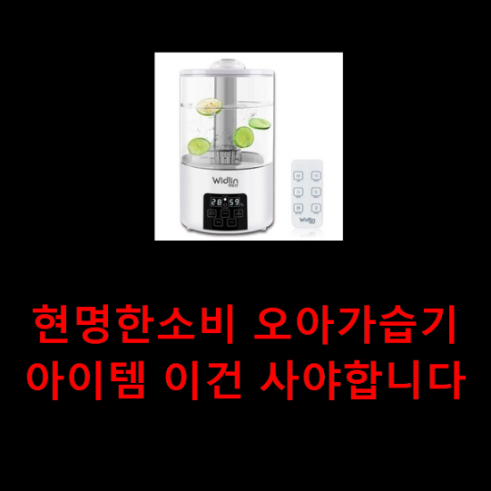 현명한소비 오아가습기 아이템 이건 사야합니다 현명한소비 오아가습기 아이템 이건 사야합니다