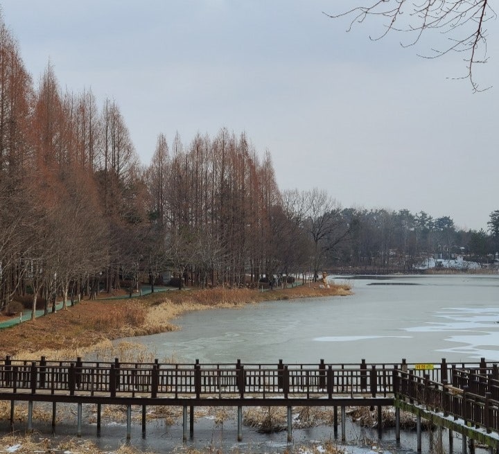 김제 가볼만한 곳, 김제 문화 체육공원(검산 체육공원) 수변로 산책과 겨울 풍경