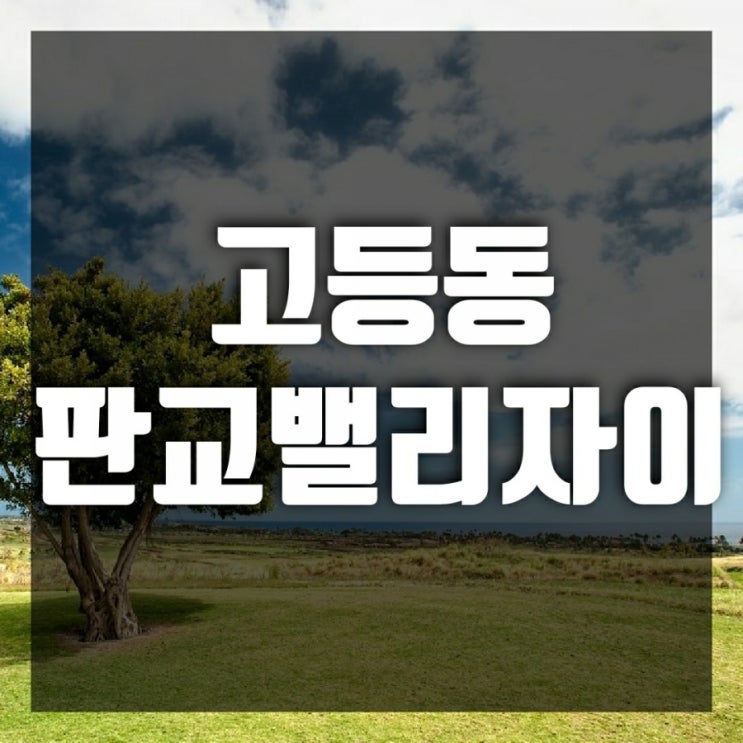 고등동 판교밸리자이 (오피스텔) 분양가