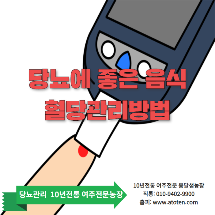 당뇨에좋은음식 10가지와 올바른 식이요법