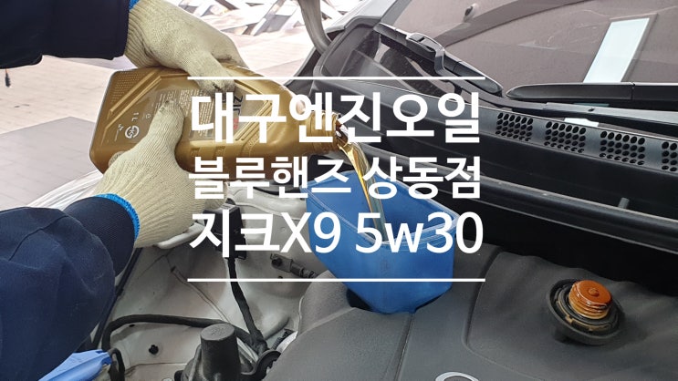 대구 엔진오일 블루핸즈 상동점에서 편안하고 친절하게 교환 완료 지크x9 5w30 대구 엔진오일 블루핸즈 상동점에서 편안하고 친절하게 교환 완료 지크x9 5w30