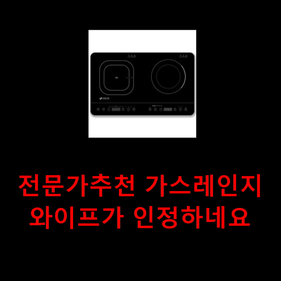 전문가추천 가스레인지 와이프가 인정하네요 전문가추천 가스레인지 와이프가 인정하네요