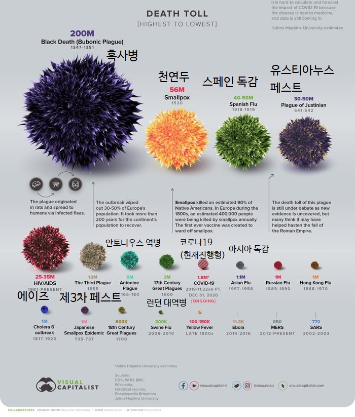  인류 역사상 역대 전염병 사망자 순위