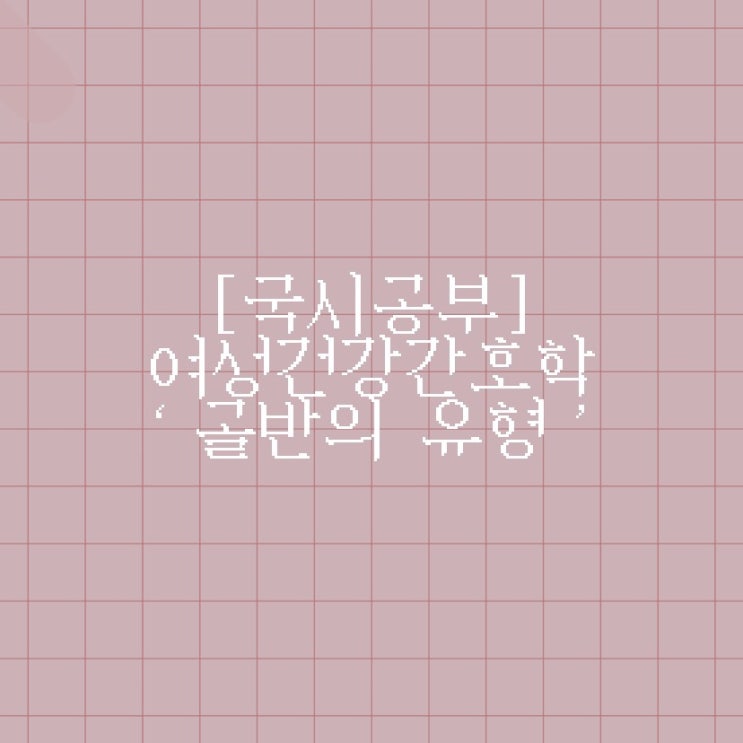  [국시공부] 여성건강간호학 ‘골반의 유형 : 여성형/남성형/유인원형/편평형’