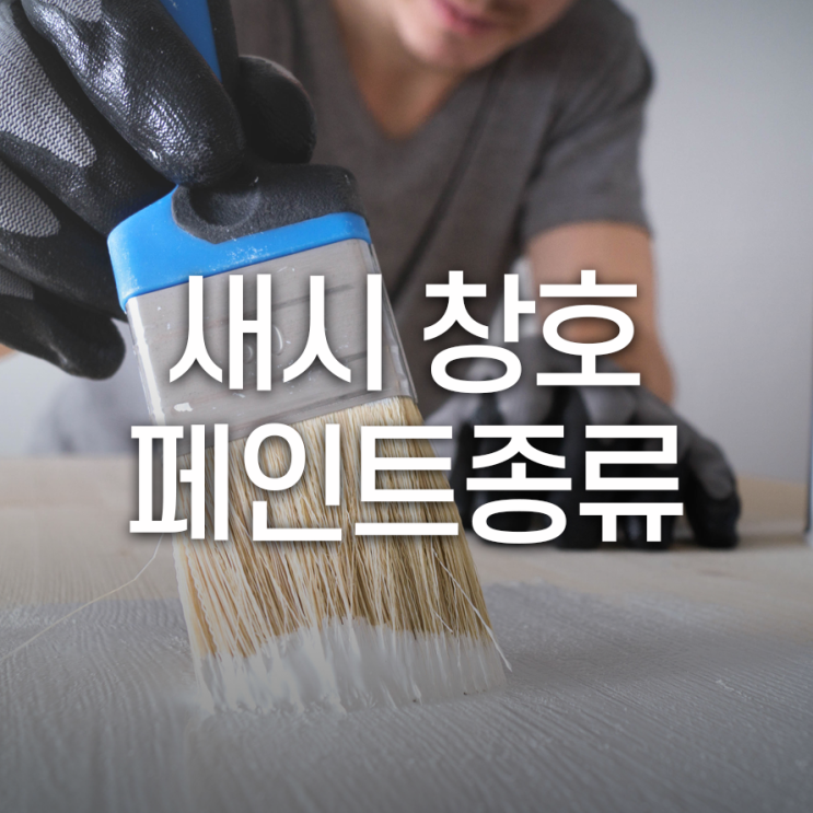  새시 창호 페인트 시공 페인트 용품 종류는?