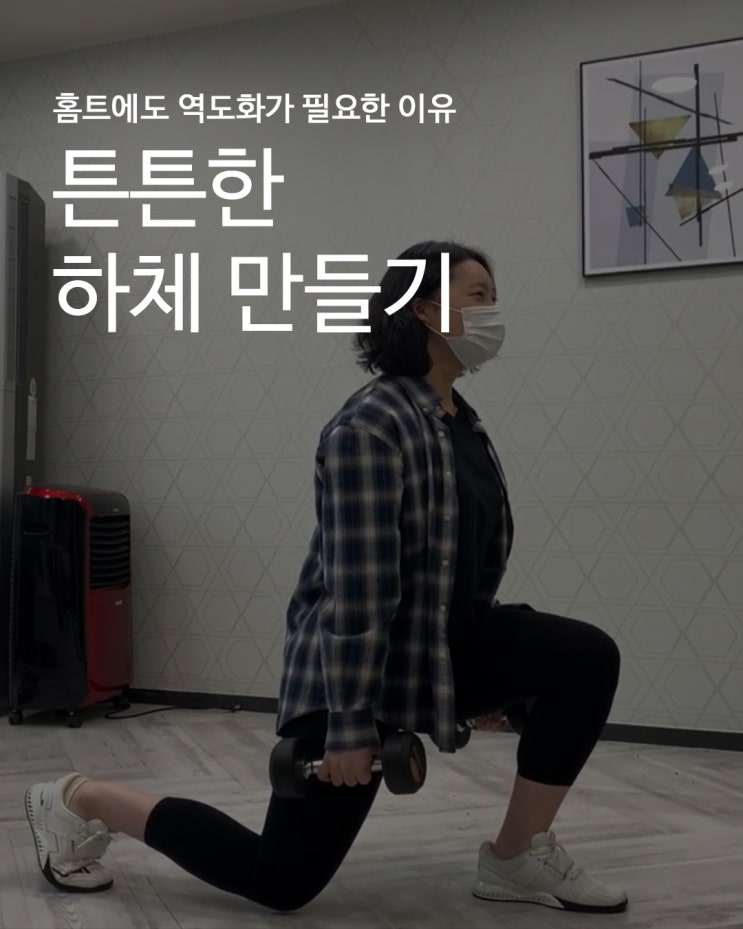  [홈트에도 역도화가 필요한 이유] 홈트의 전성시대_콜카 역도화와 함께 하체운동하기 :: 스플릿스쿼트ㅣ와이드스쿼트